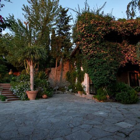 Villa Le Palme Forio di Ischia Exterior foto