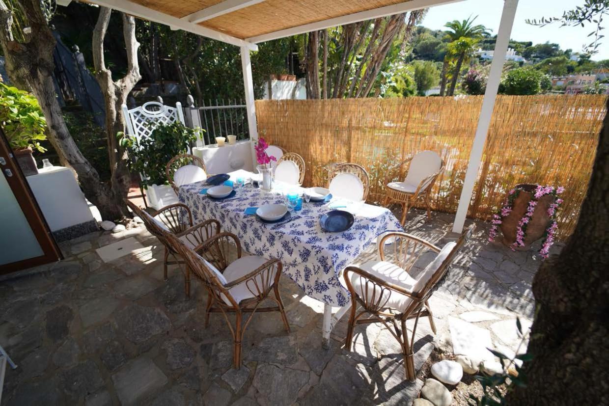 Villa Le Palme Forio di Ischia Exterior foto