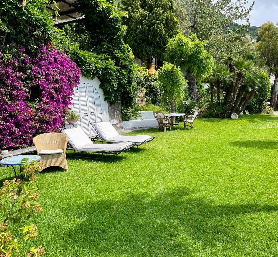 Villa Le Palme Forio di Ischia Exterior foto