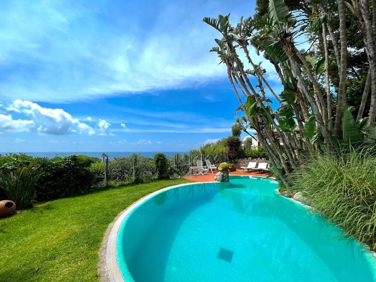 Villa Le Palme Forio di Ischia Exterior foto