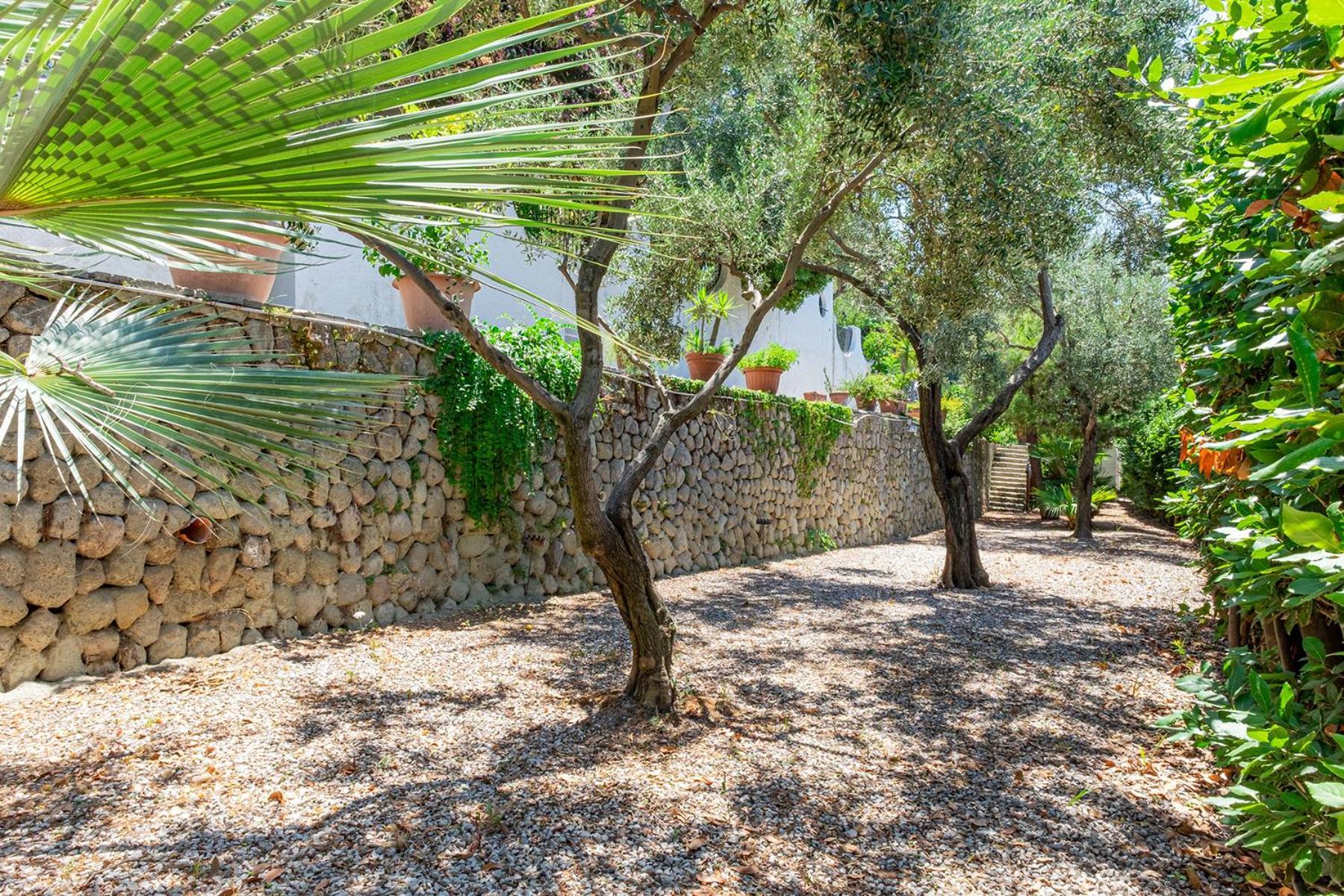 Villa Le Palme Forio di Ischia Exterior foto