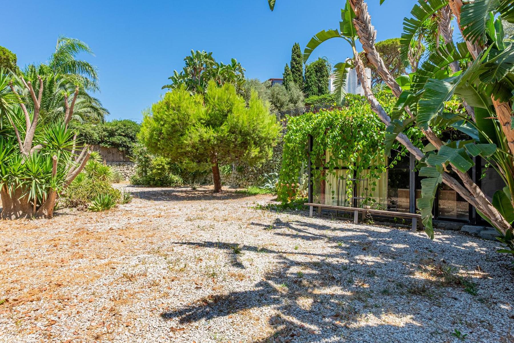 Villa Le Palme Forio di Ischia Exterior foto